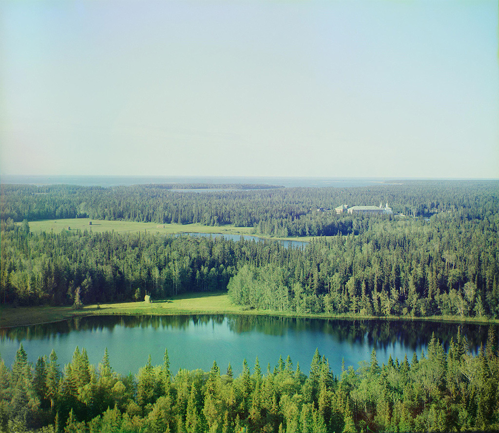 Фото Прокудина - Горского с изображением леса